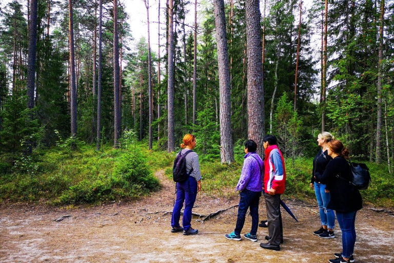 De Tallinn : excursion privée au parc national de Lahemaa