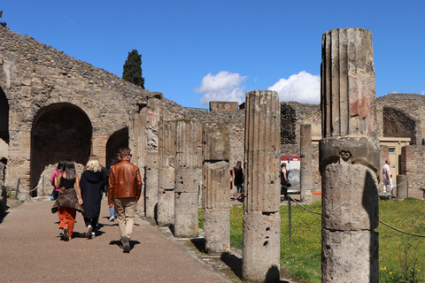 Da Roma: gita di un giorno a Pompei e Sorrento in un piccolo gruppo