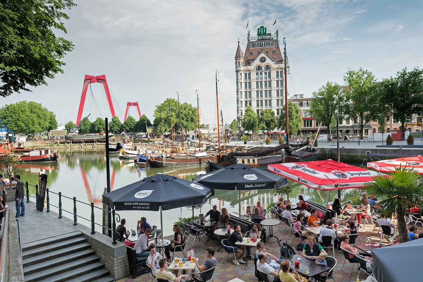 Rotterdam: WWII Walking Tour