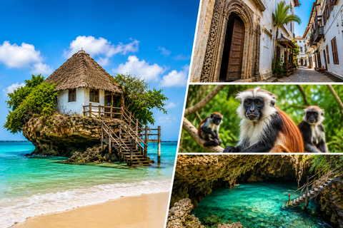 Zanzibar: Stone Town, Jozani Forest, Turtle Swim & The Rock Tour Without Hotel Transfer