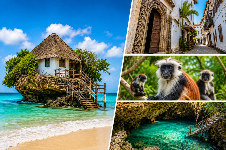 Zanzibar: Stone Town, Jozani Forest, Turtle Swim & The Rock Tour Without Hotel Transfer