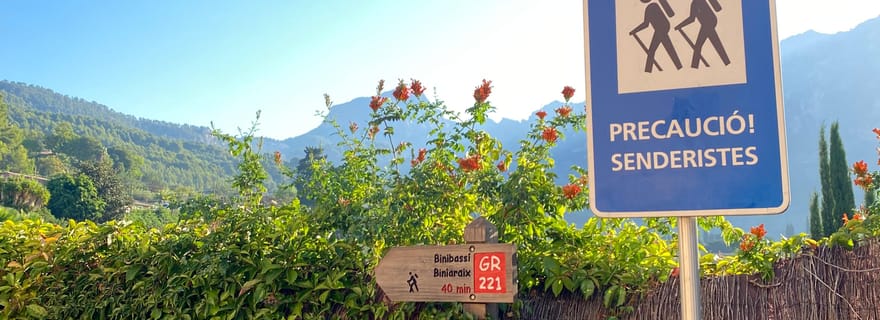Sóller : randonnée de la vallée des oranges au port avec une vue magnifique