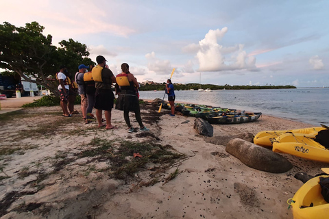 Kayak de nuit dans la baie bioluminescente de Laguna Grande