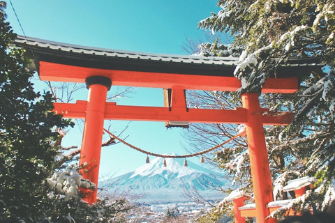 From Tokyo: Private Mount Fuji Day Trip with Driver