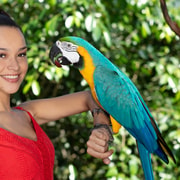 Kuranda: Birdworld Entry Ticket