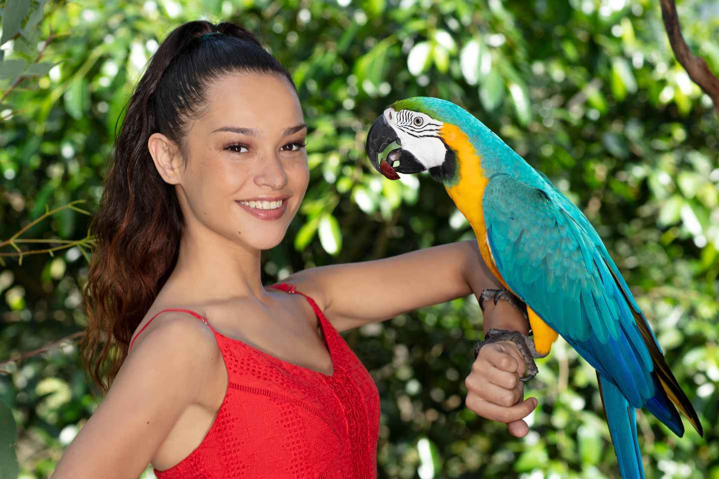 Kuranda: Birdworld Entry Ticket - Kuranda: Birdworld Entry Ticket