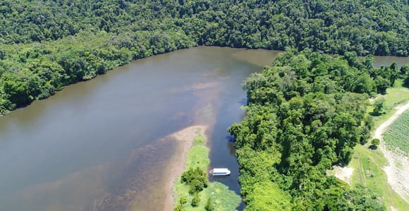 Cairns: Daintree Rainforest Wildlife Experience Cruise