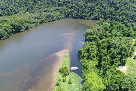 Cairns: crucero por la experiencia de vida salvaje en la selva tropical de Daintree