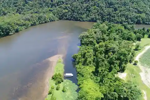 Cairns: Daintree Rainforest Wildlife Experience Cruise