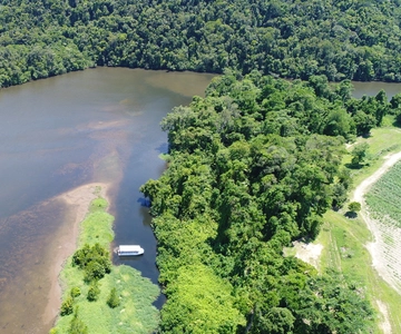 Cairns: Daintree Rainforest Wildlife Experience Cruise