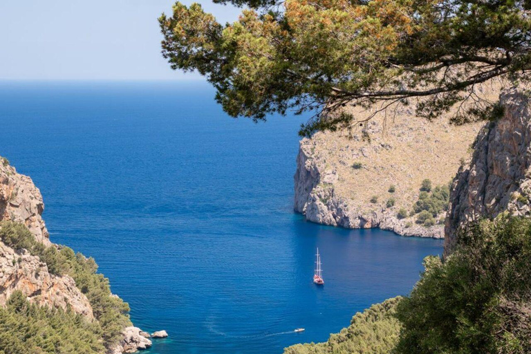 All of Mallorca: Exclusive Experience in an Intimate Group (12 people max.)