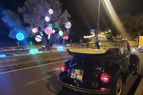 Funchal: Christmas Lights Sightseeing Night Tour