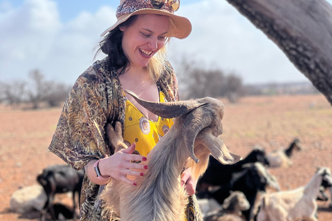 Agadir: Discover Argan Tree-Climbing Goats on a Morning Tour Pickup From Tamraght & Taghazout