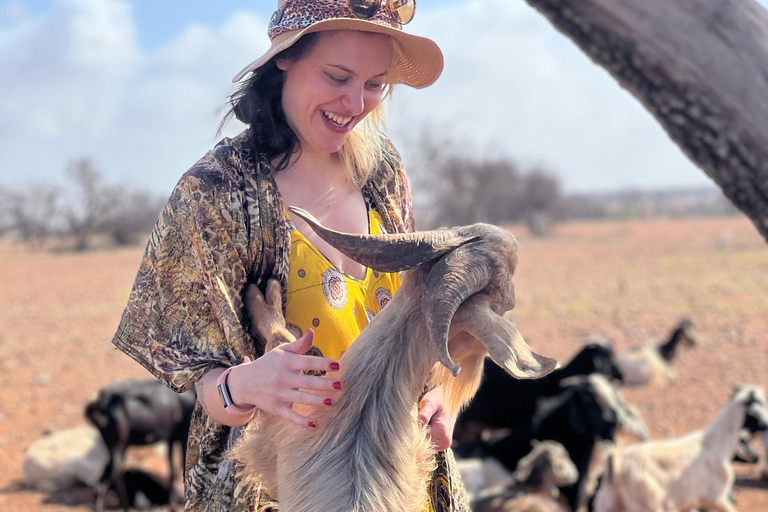 Agadir: Discover Argan Tree-Climbing Goats on a Morning Tour Pickup From Tamraght & Taghazout