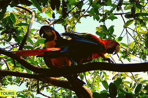 Amazonas Manu Zona Cultural 4 Días / 3 Noches