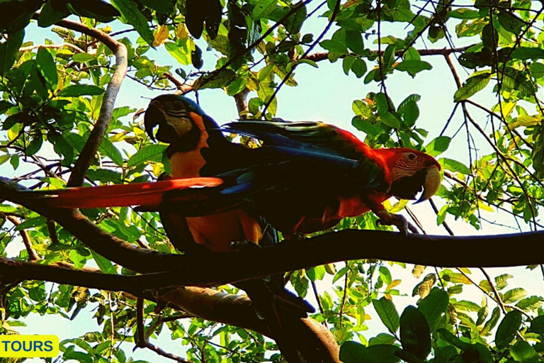 Amazonas Manu Zona Cultural 4 Días / 3 Noches