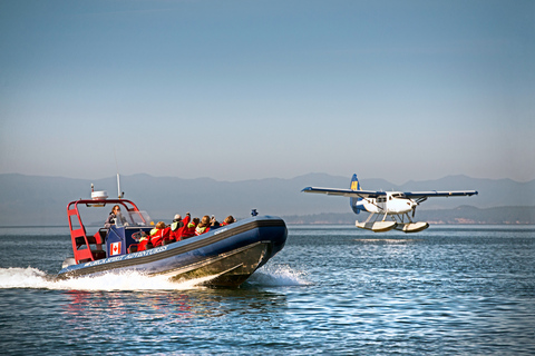 From Vancouver: Victoria Seaplane & Whale Watching Day Tour Victoria Whale Watching Afternoon Tour in Covered Vessel