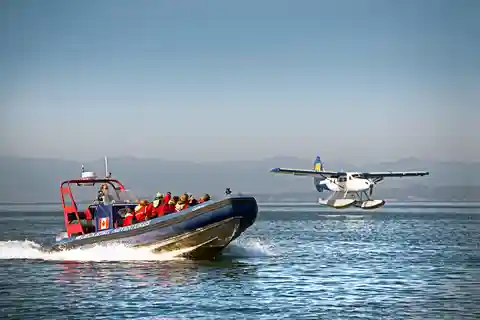 Vancouver: Seaplane to Victoria and Whale Watching Day Trip