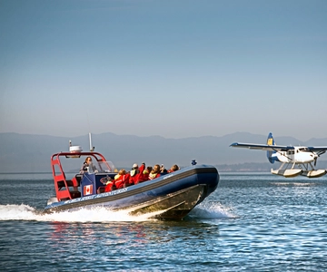 Vancouver: Seaplane to Victoria and Whale Watching Day Trip