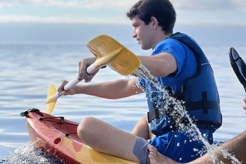 Funchal : Kayak et plongée en apnée dans la réserve naturelle de Garajau