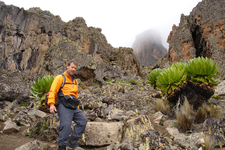 Privat vandringstur till Mount Kenya