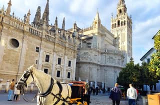 Sevilla: Geführte Sightseeing-Tagestour