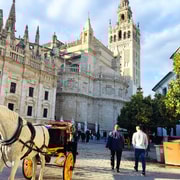 Seville: Guided Sightseeing Day Tour