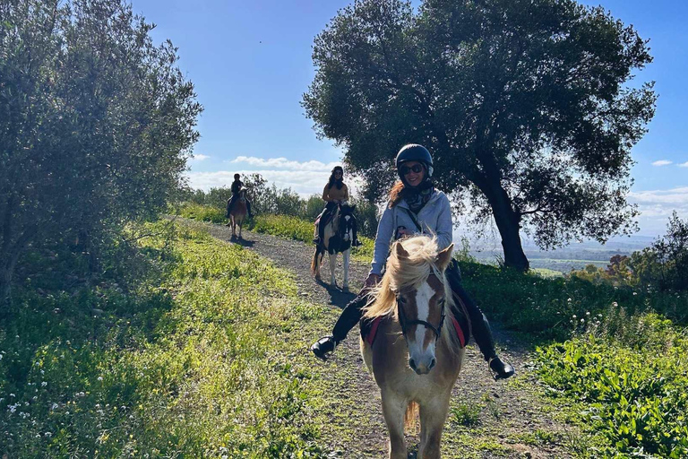 Catania: Guided Horseback Ride in Misterbianco Countryside