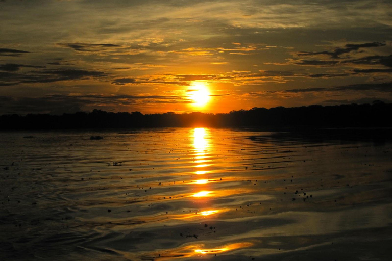 Von Iquitos aus: 4-tägige Tour durch den nördlichen Amazonas