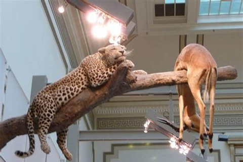 Rodzinne poszukiwanie skarbów w Muzeum Historii Naturalnej w WaszyngtonieRodzinne poszukiwania skarbów w Muzeum Historii Naturalnej w Waszyngtonie