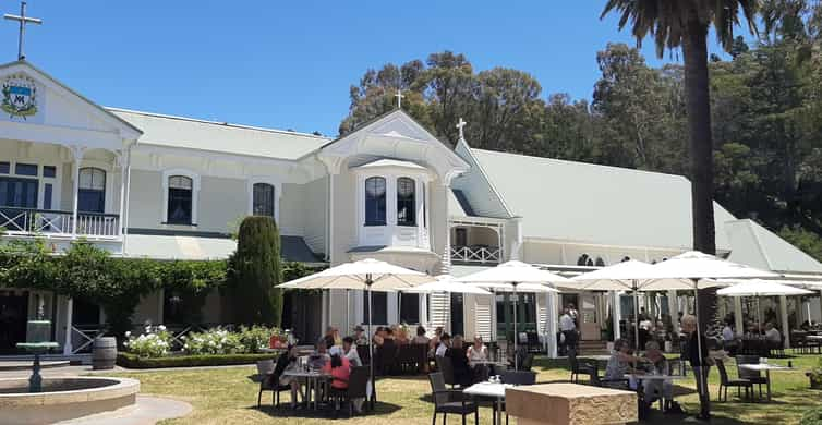 napier wine tasting tours