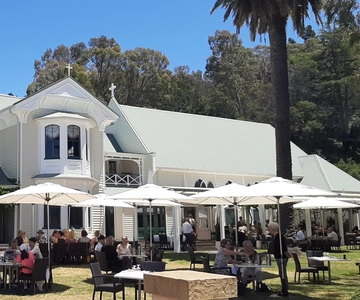 Napier: Wine and Gin Tasting Tour with Lunch