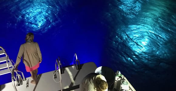 Oahu Night Dive: Adventure for Certified Divers