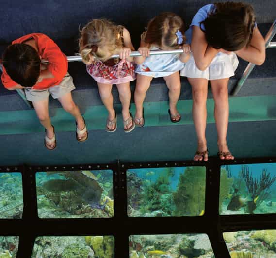 From Miami Key West Tour with Water Sports Activities GetYourGuide