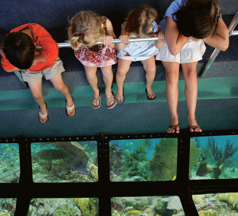 Family-friendly activities