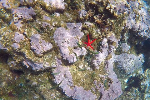 Madeira: Garajau Nature Reserve Kayak and Snorkel Tour