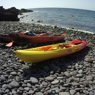 Madeira: tour in kayak e snorkeling nella riserva naturale di Garajau