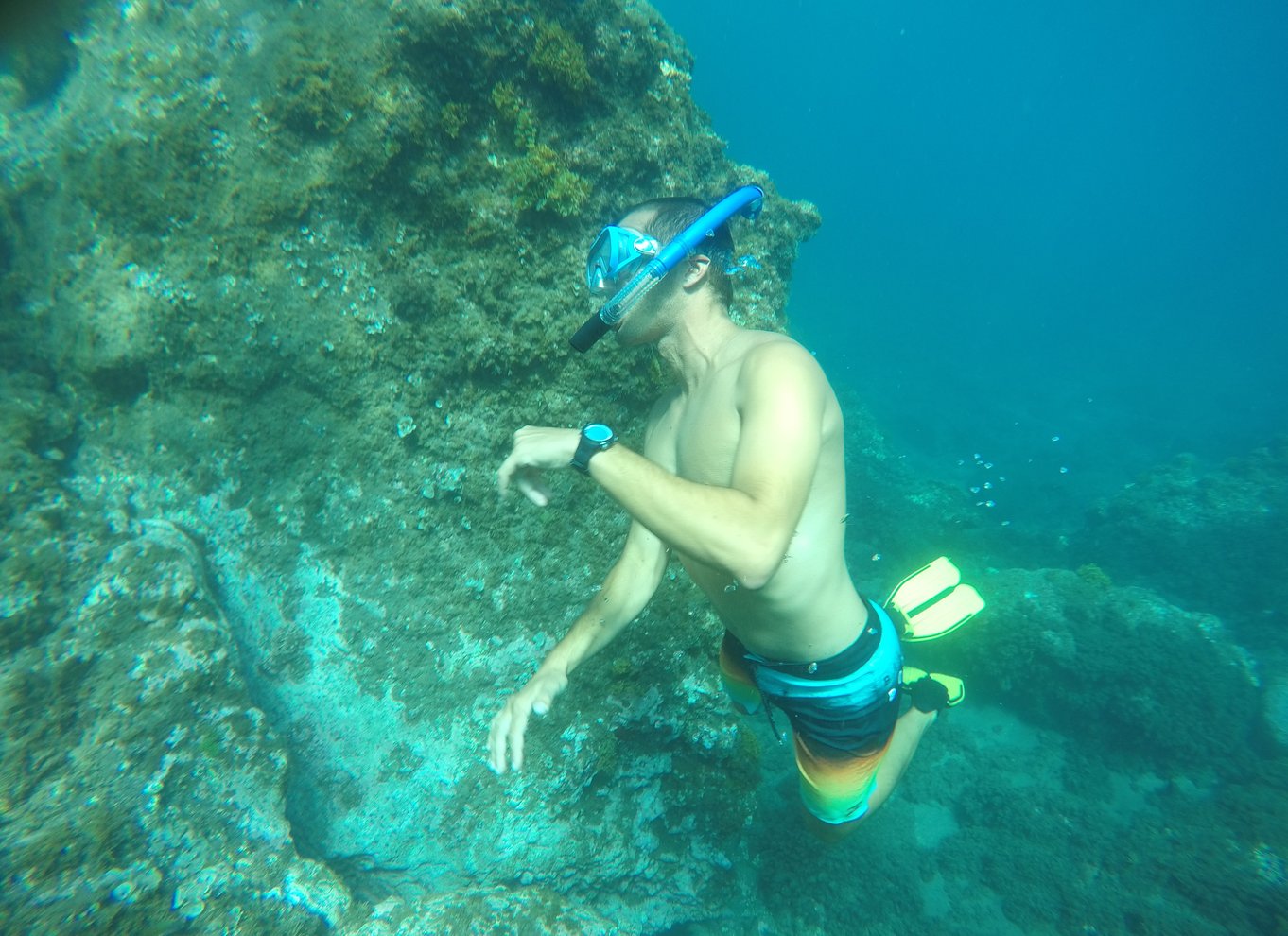 Madeira: Kajak- og snorkeltur i naturreservatet Garajau