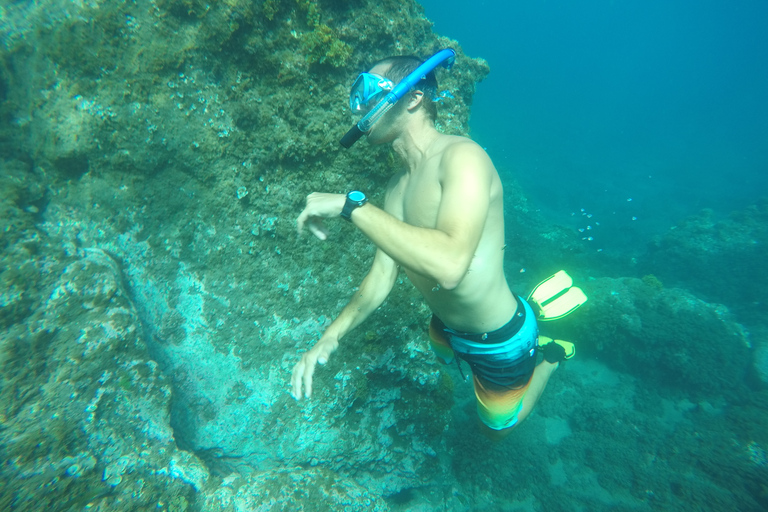 Madère: excursion en kayak et plongée avec tuba dans la réserve naturelle de GarajauExcursion en kayak et plongée en apnée avec prise en charge à Funchal