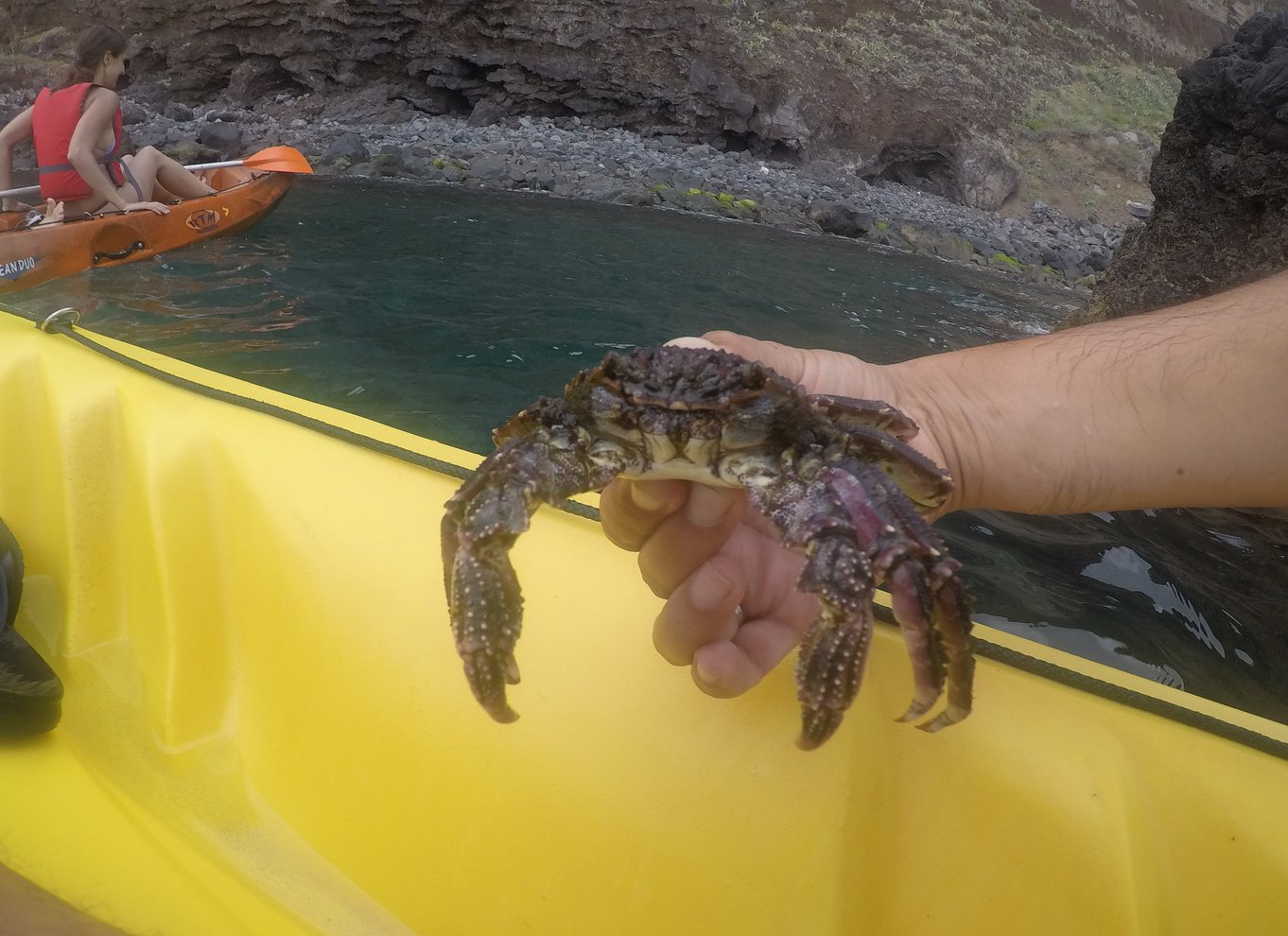 Madeira: Kajak- og snorkeltur i naturreservatet Garajau