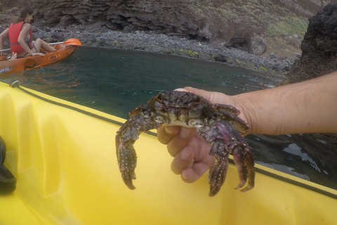 Madeira: Garajau Nature Reserve Kayak and Snorkel Tour