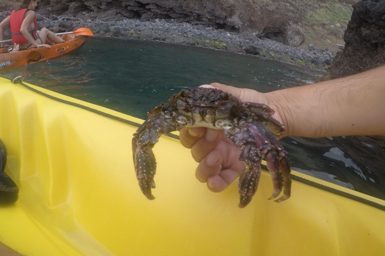 Madera: Wycieczka kajakiem i nurkowaniem z rezerwatu przyrody GarajauWycieczka kajakiem i snorkelingiem z odbiorem z Funchal