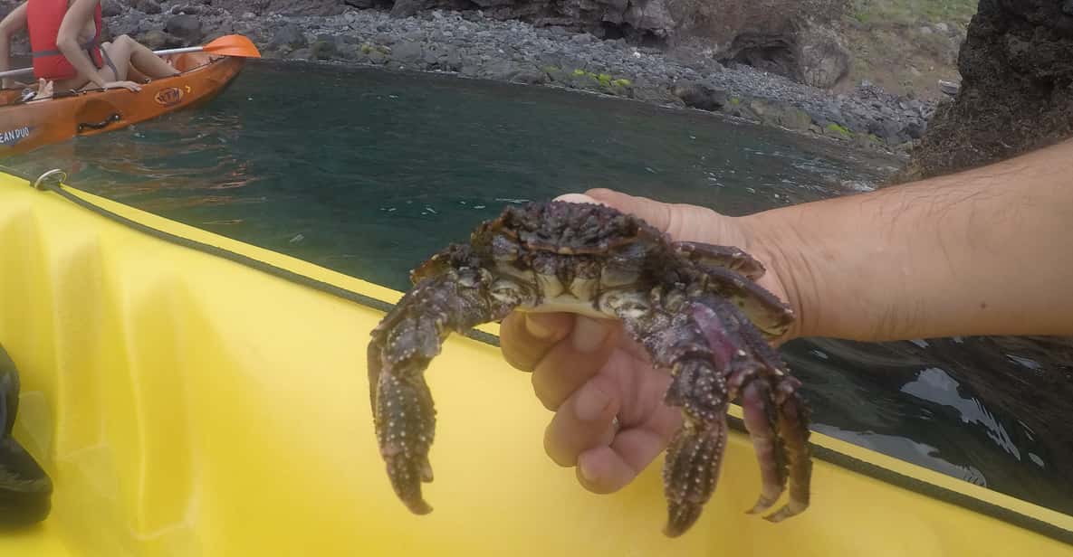 Madeira: Garajau Nature Reserve Kayak and Snorkel Tour