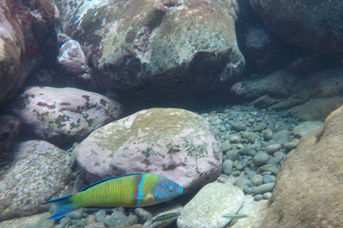 Madeira: Garajau Nature Reserve Kayak and Snorkel Tour