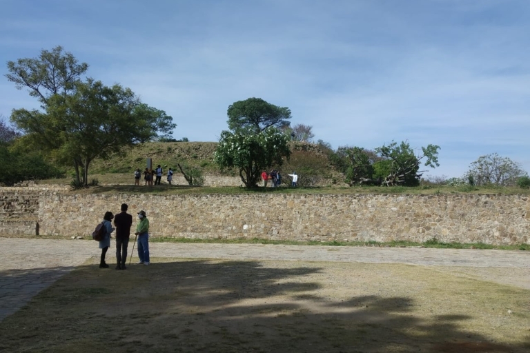 Desde Oaxaca: tour 1 día a Monte Albán y pueblos artesanales