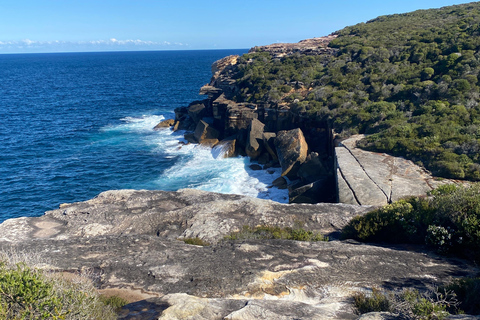 Sydney: Royal National Park tour with picnic RNP Private Tour