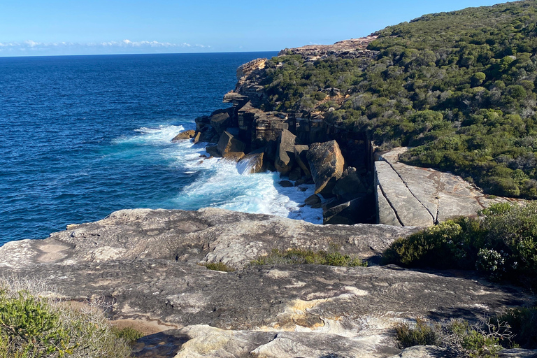 Sydney: Royal National Park tour with picnic RNP Private Tour