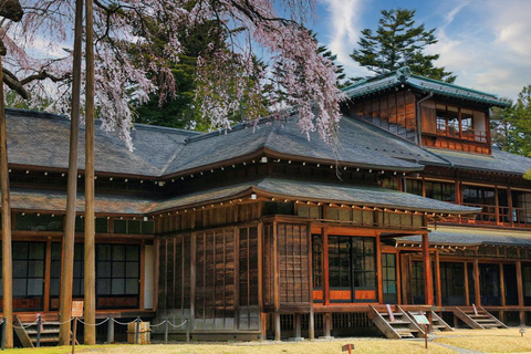 Tóquio: Viagem de 1 dia privada a Nikko com templos e natureza