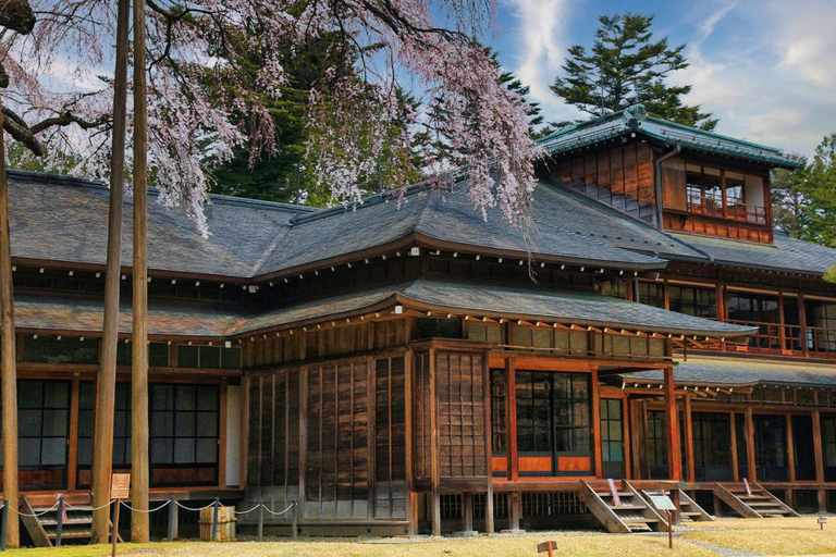 Tóquio: Viagem de 1 dia privada a Nikko com templos e natureza