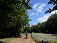 Reggio Calabria, Aspromonte Traks Trek a Montalto Summit - Housity